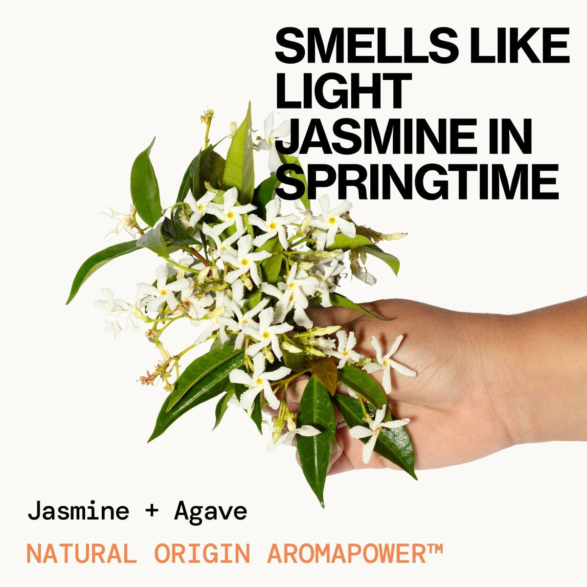 Jasmine Agave Strength + Shine Hair Oil