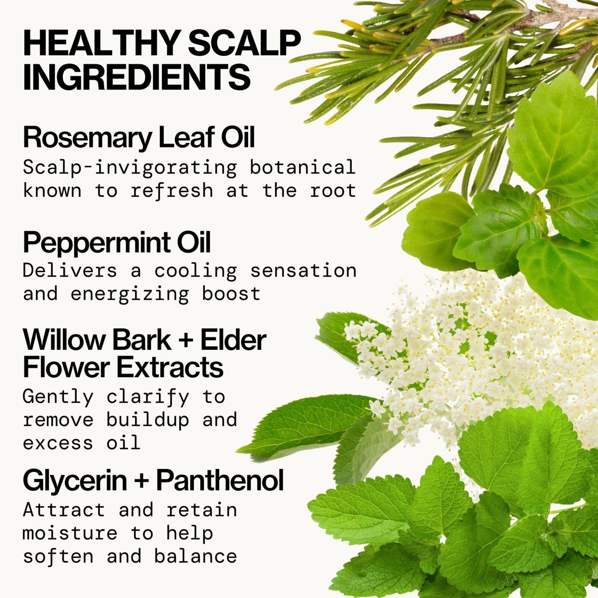 Rosemary Mint Scalp Love Shampoo